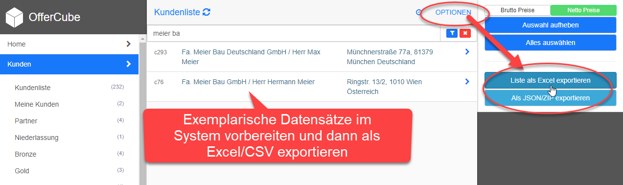 Exemplarischer Datensatz als Excel exportieren