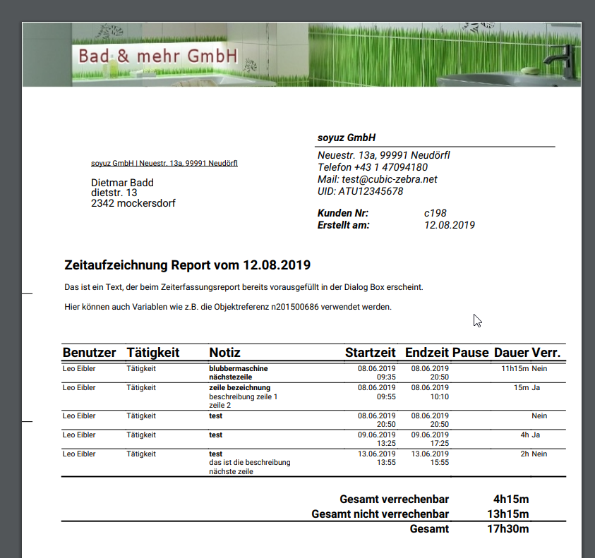 Zeitaufzeichnung PDF Report Resultat